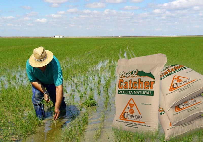 ▷ Carbonato de calcio Industrial - agrícola - acuícola - avícola - pecuario