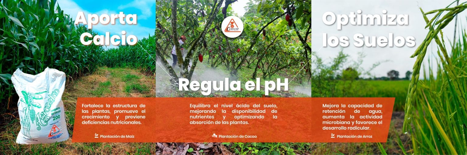 Aplicaciones Del Carbonato De Calcio En La Agricultura